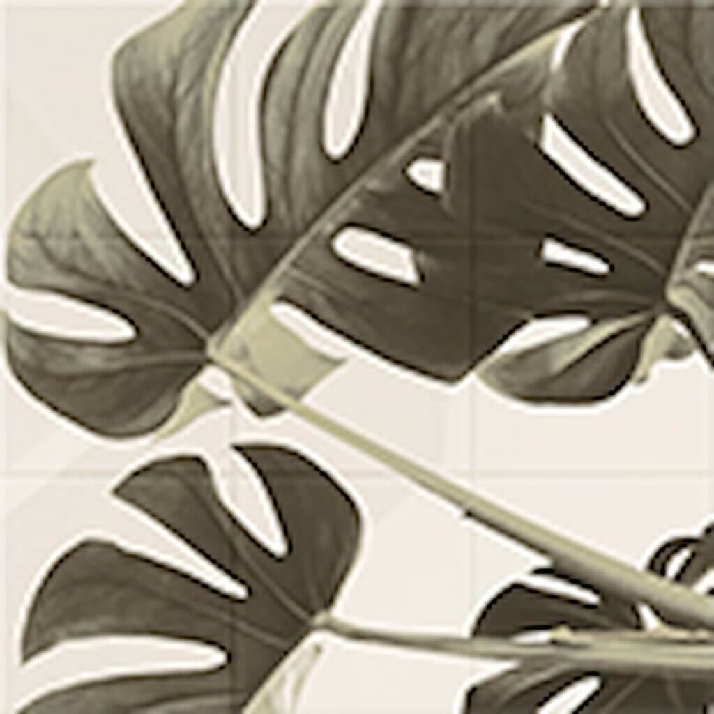 エコカラットセルフ